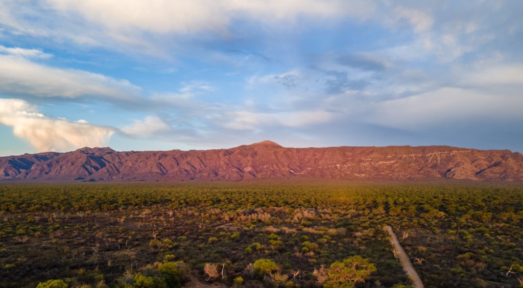 Picadas perimetrales y fajas cortafuego, las herramientas claves para prevenir incendios forestales